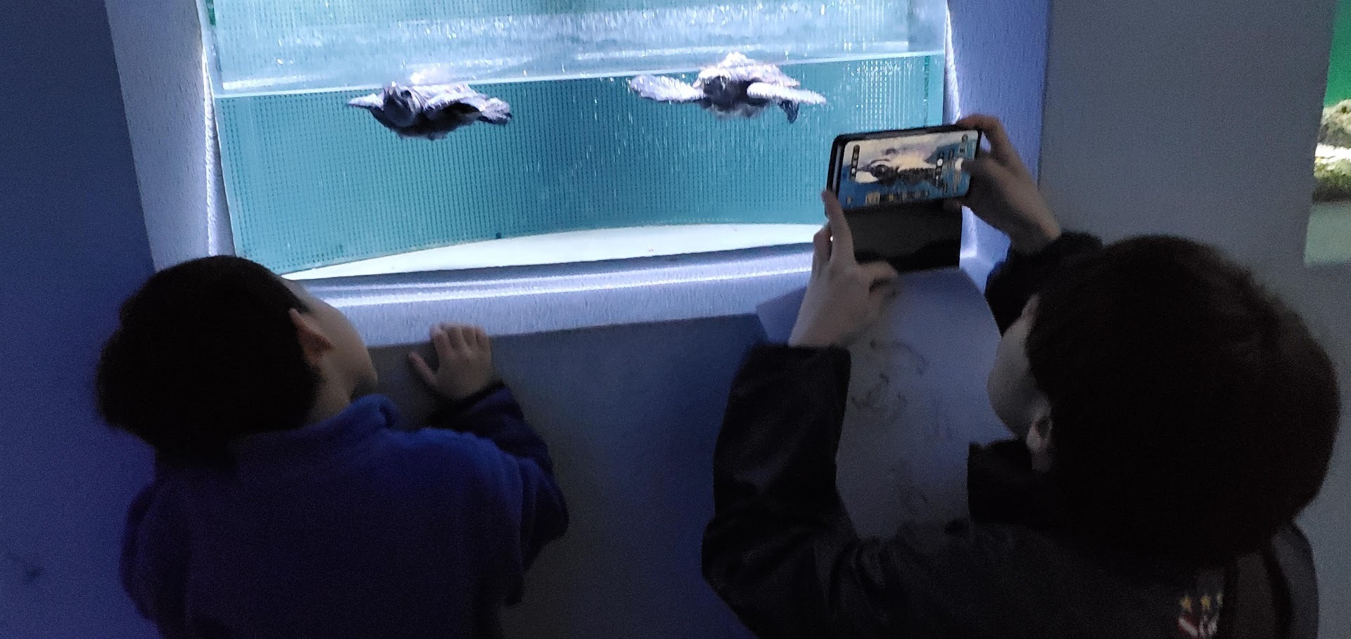 地元で楽しむマリン！